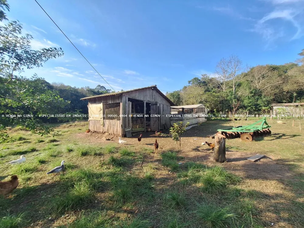 Sítio, 4 quartos, 8 hectares - Foto 6