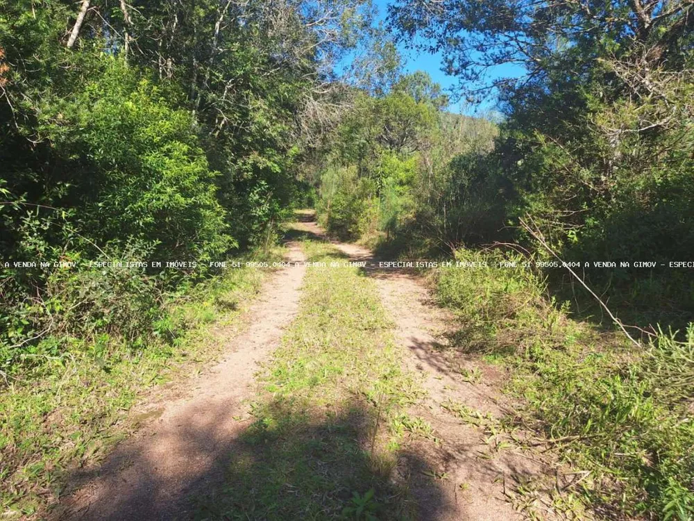 Loteamento e Condomínio, 2 hectares - Foto 2