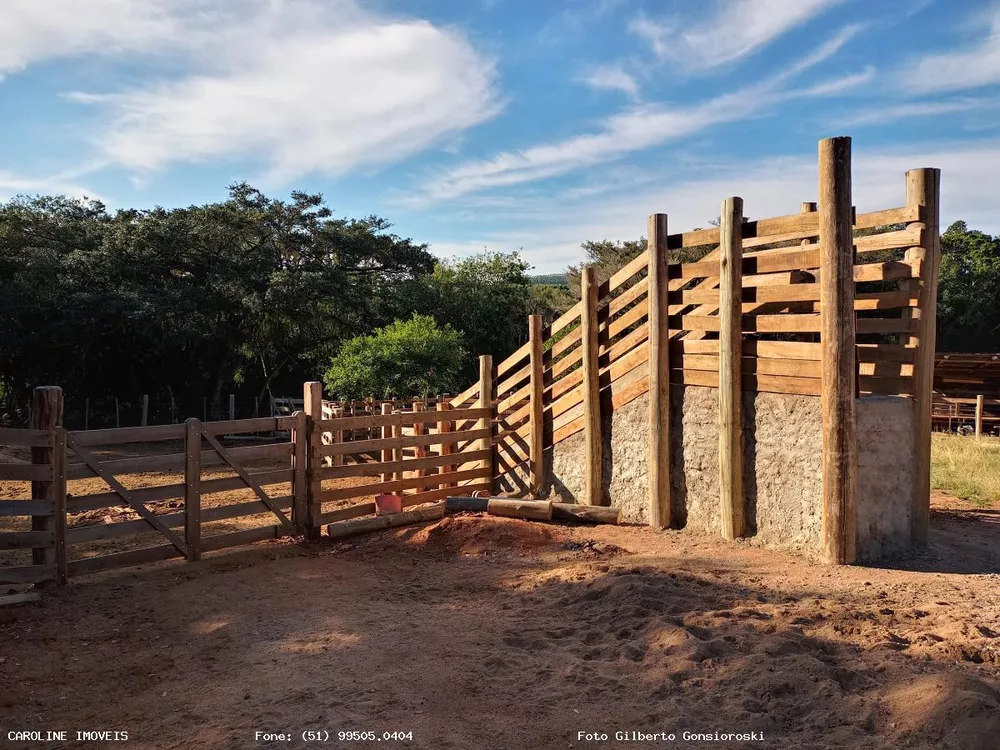 Fazenda à venda com 3 quartos, 980000m² - Foto 2