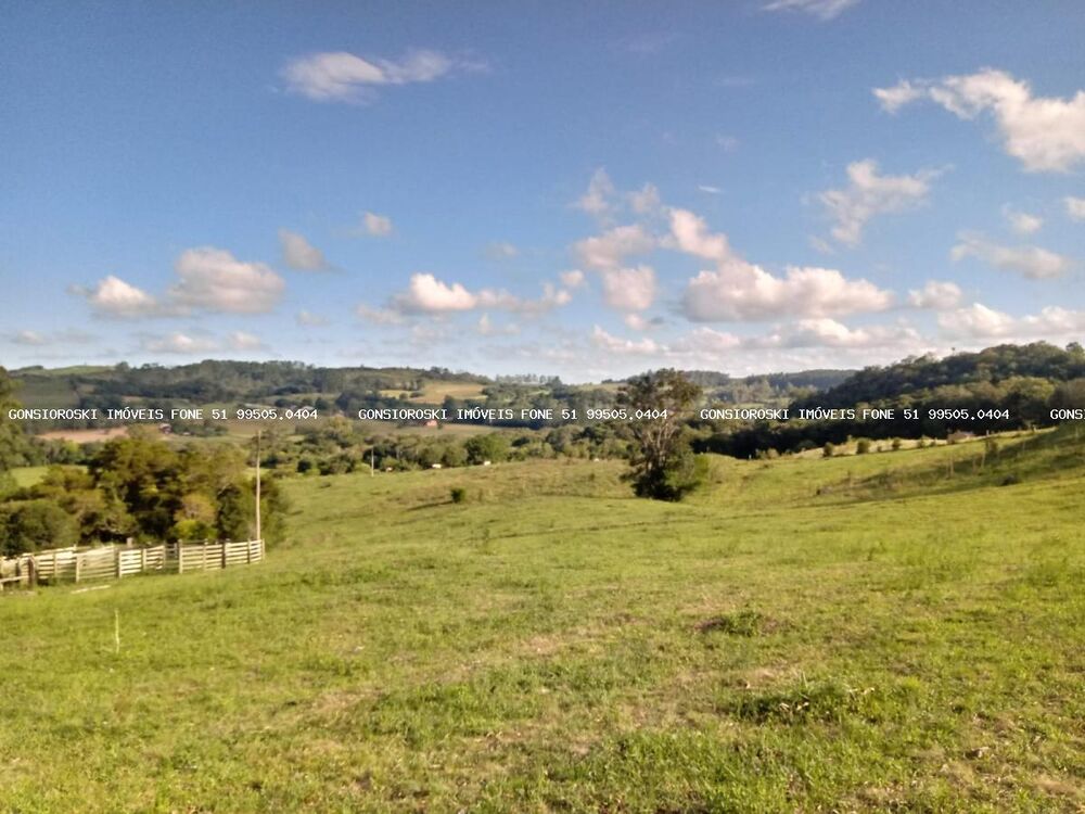 Chácara à venda com 2 quartos, 400000m² - Foto 8