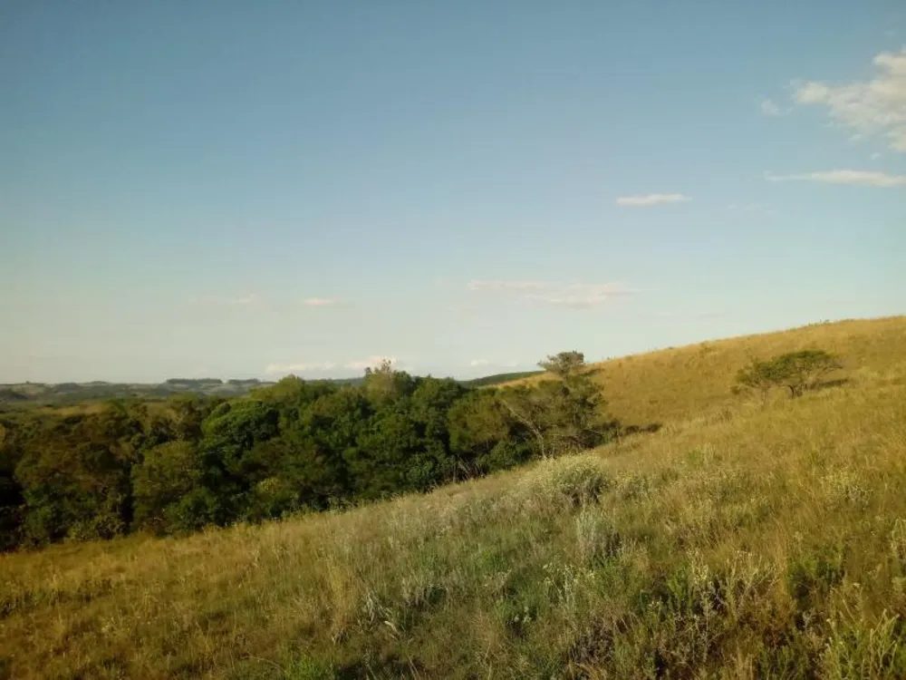 Loteamento e Condomínio, 14 hectares - Foto 1
