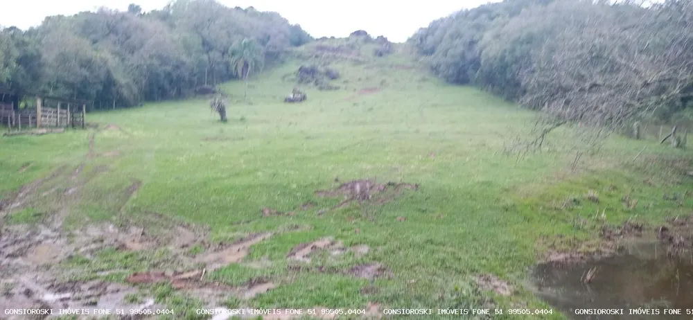Chácara, 1 quarto, 2 hectares - Foto 3