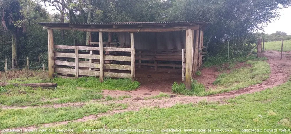 Chácara, 1 quarto, 2 hectares - Foto 4