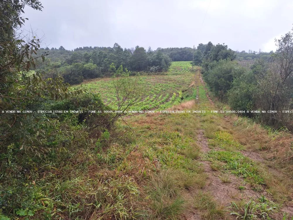 Loteamento e Condomínio à venda, 20000m² - Foto 1