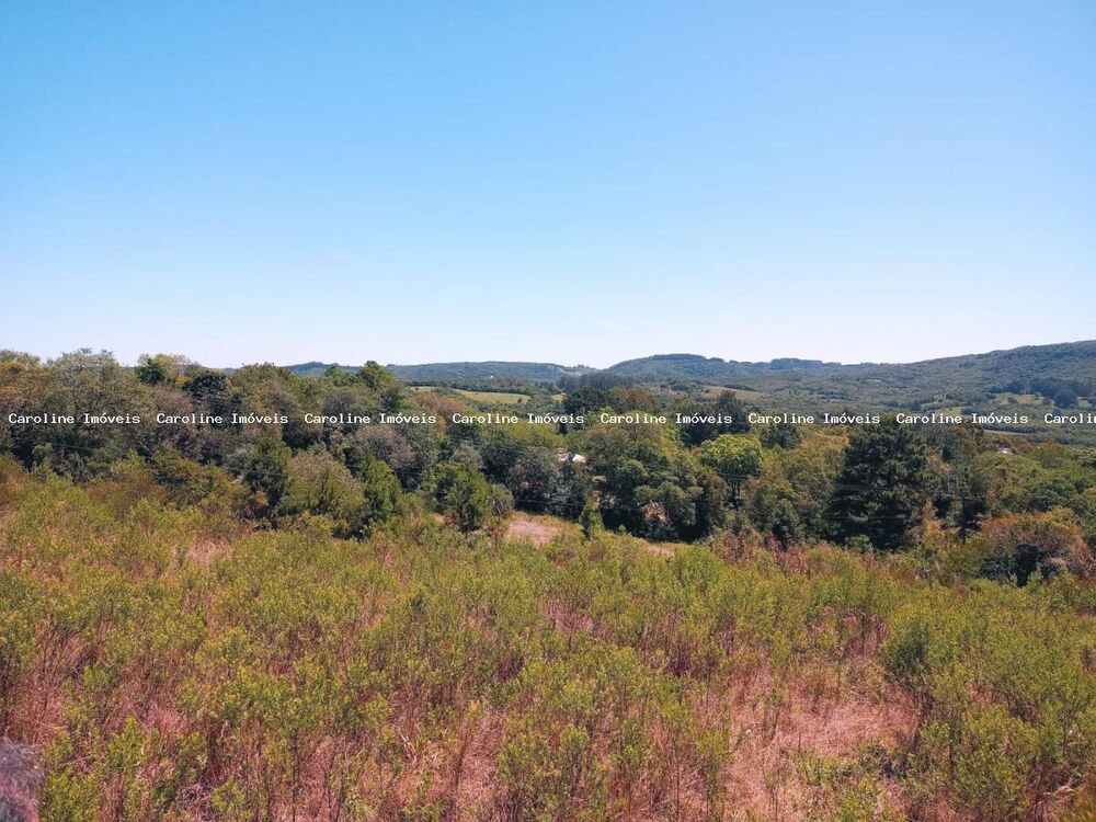 Terreno, 5650 m² - Foto 3