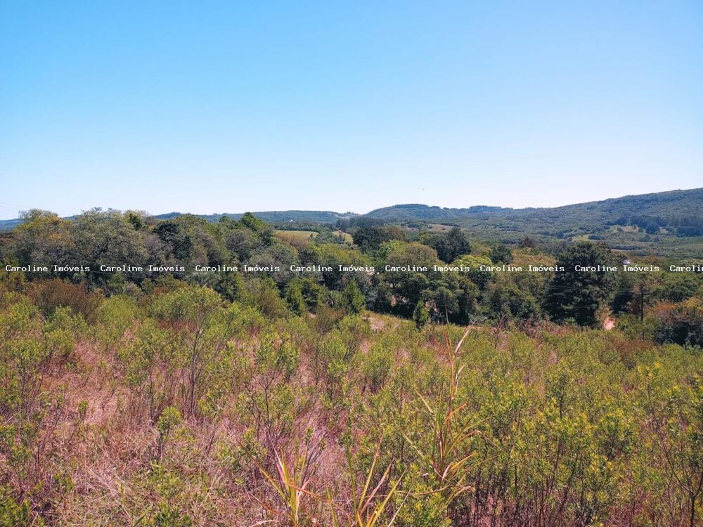 Terreno, 5650 m² - Foto 4