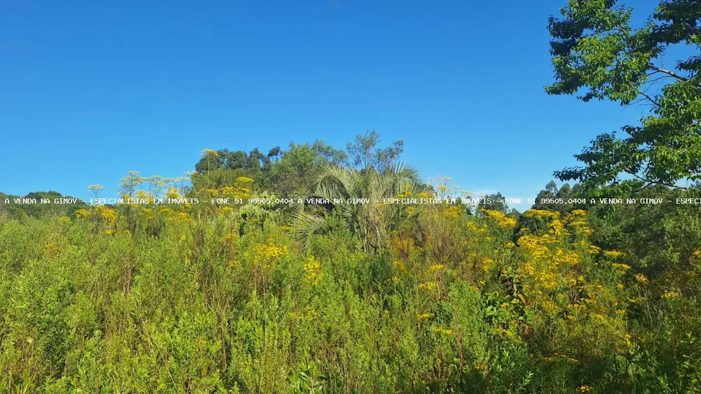 Loteamento e Condomínio, 8 hectares - Foto 4