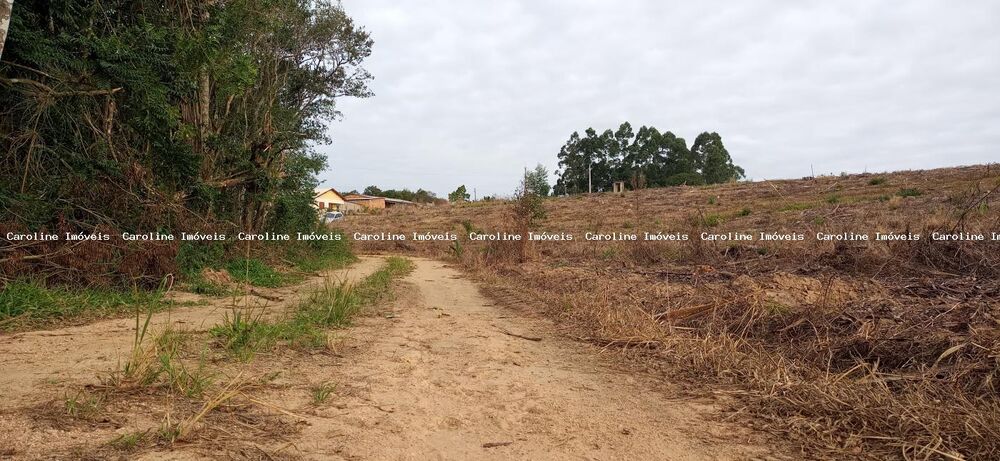 Terreno - Foto 2