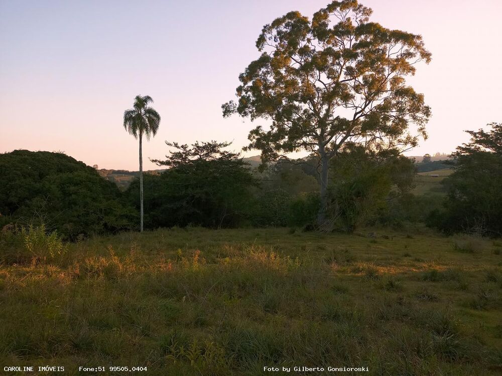 Sítio à venda com 3 quartos, 586000m² - Foto 6