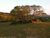 Sítio, 3 quartos, 59 hectares - Foto 7