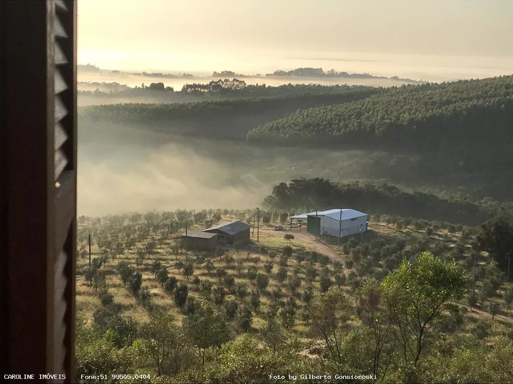 Fazenda à venda com 6 quartos, 493400m² - Foto 8