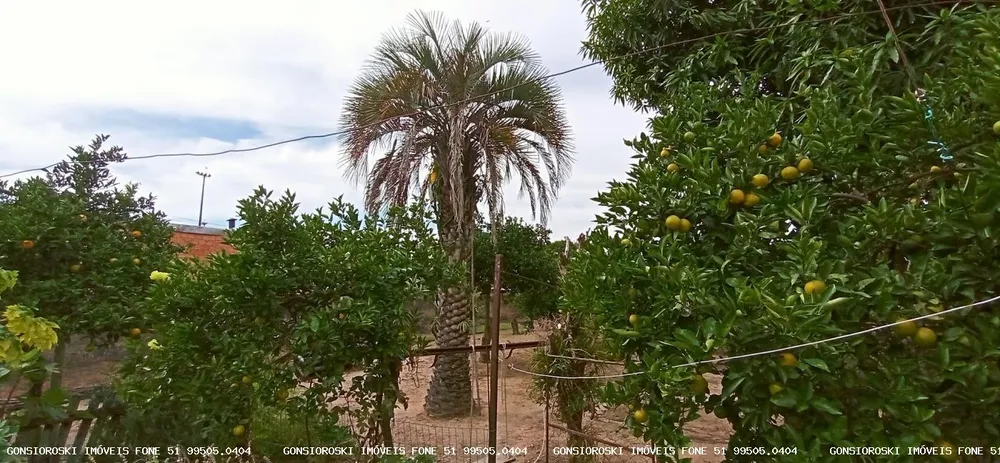 Terreno, 560 m² - Foto 1