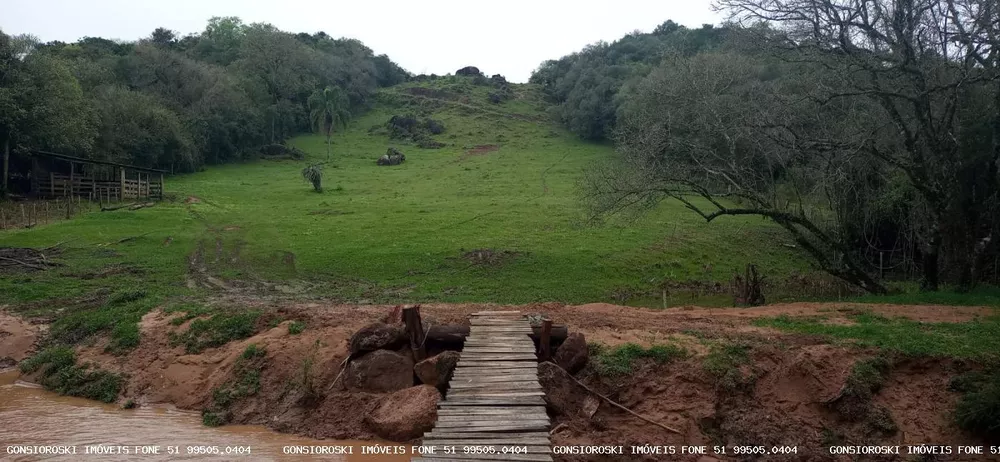 Fazenda à venda com 1 quarto, 18000m² - Foto 8