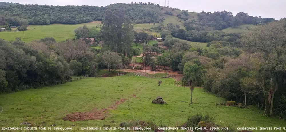 Fazenda à venda com 1 quarto, 18000m² - Foto 5