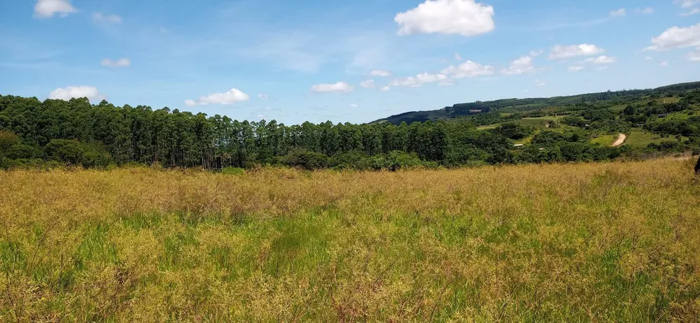 Loteamento e Condomínio, 12 hectares - Foto 6