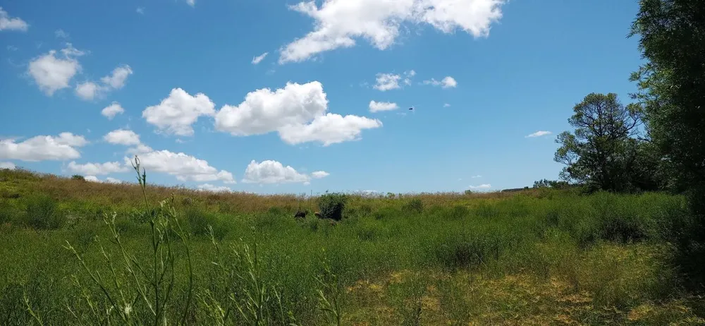 Loteamento e Condomínio, 12 hectares - Foto 4