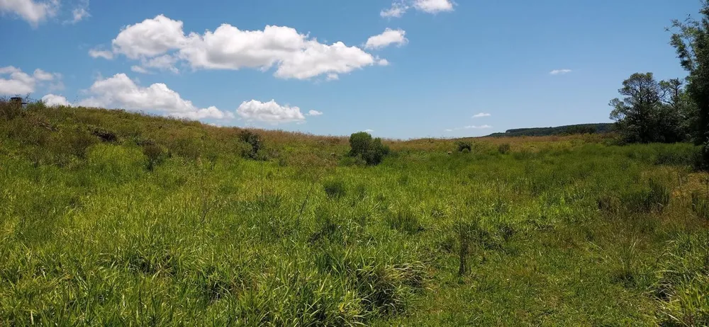 Loteamento e Condomínio, 12 hectares - Foto 1