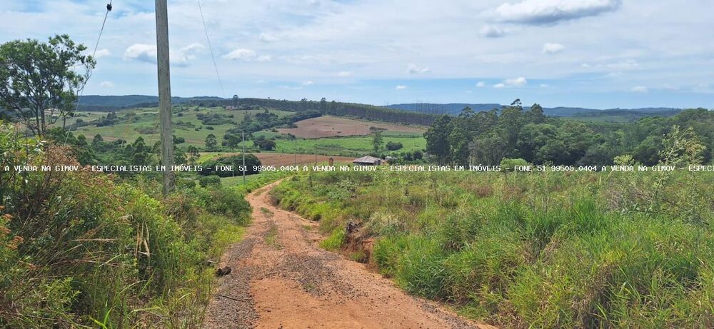 Chácara à venda com 3 quartos, 20000m² - Foto 24