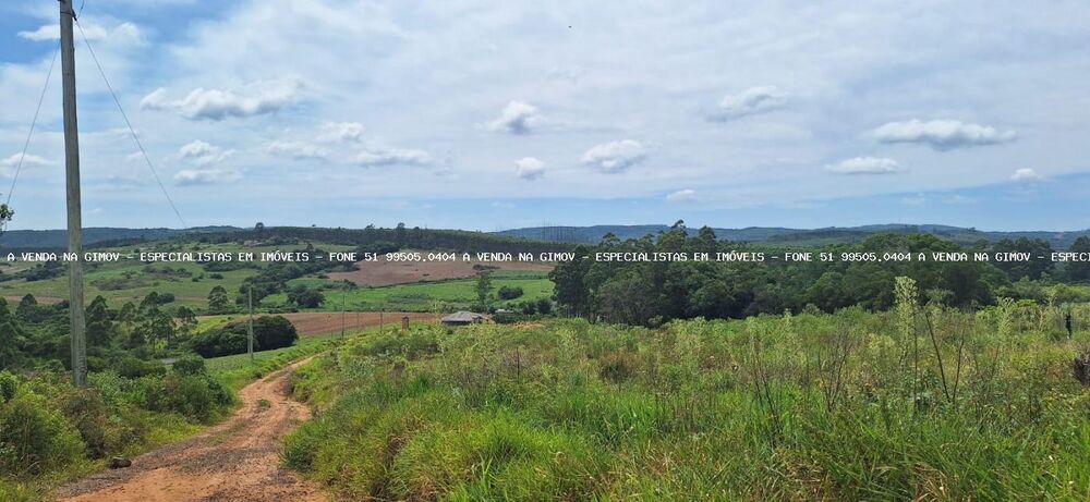 Chácara à venda com 3 quartos, 20000m² - Foto 16