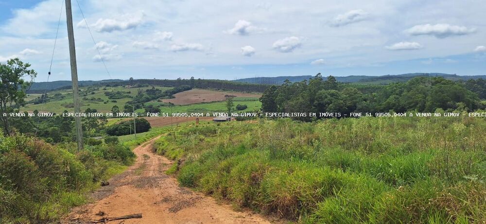 Chácara à venda com 3 quartos, 20000m² - Foto 17