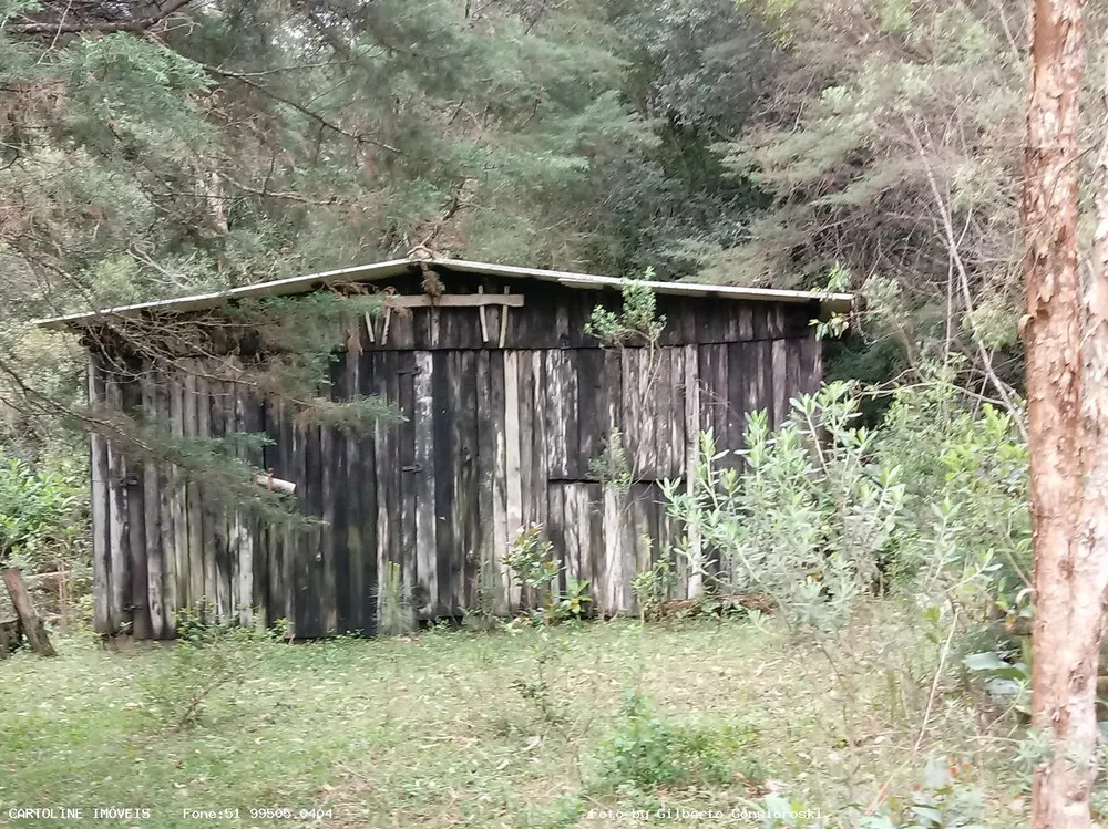 Sítio, 4 quartos, 16 hectares - Foto 4