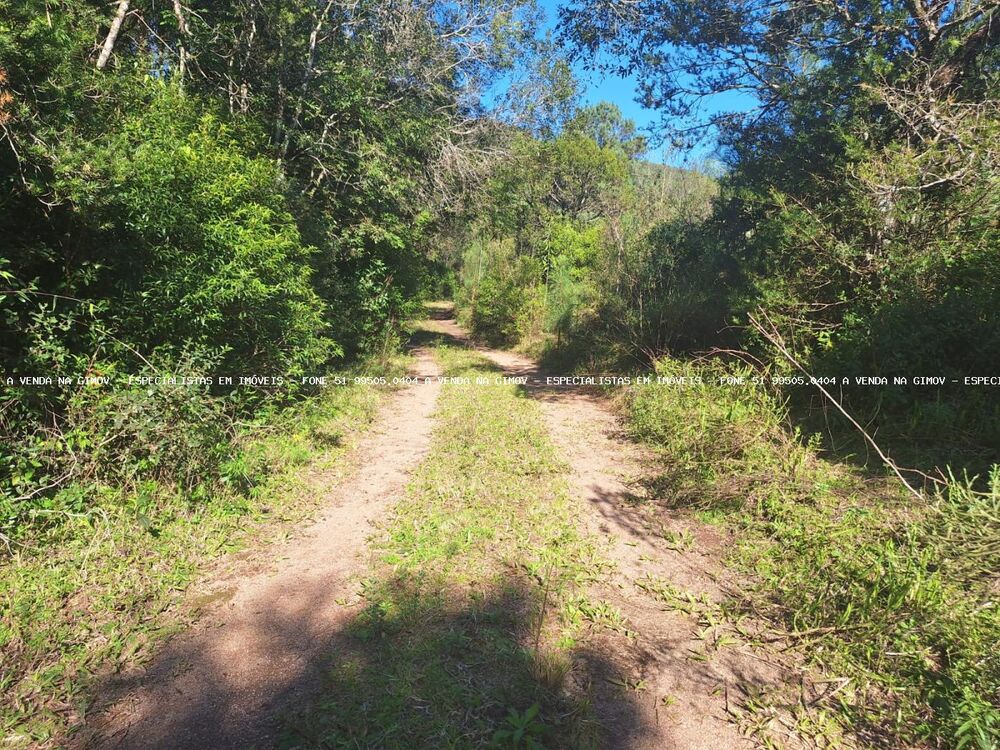 Loteamento e Condomínio, 2 hectares - Foto 14