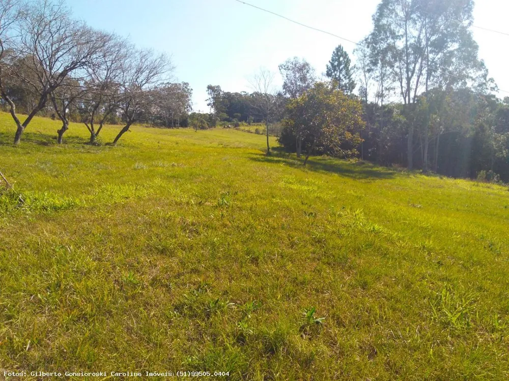 Chácara, 3 quartos, 2 hectares - Foto 3