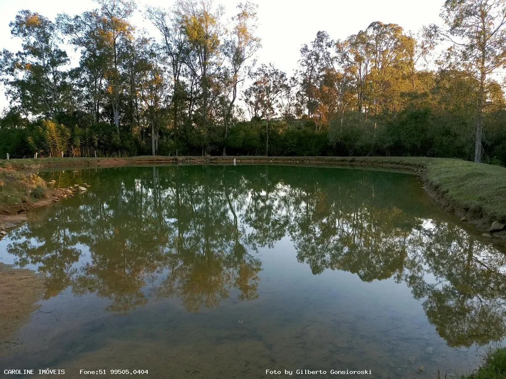 Fazenda, 59 hectares - Foto 1