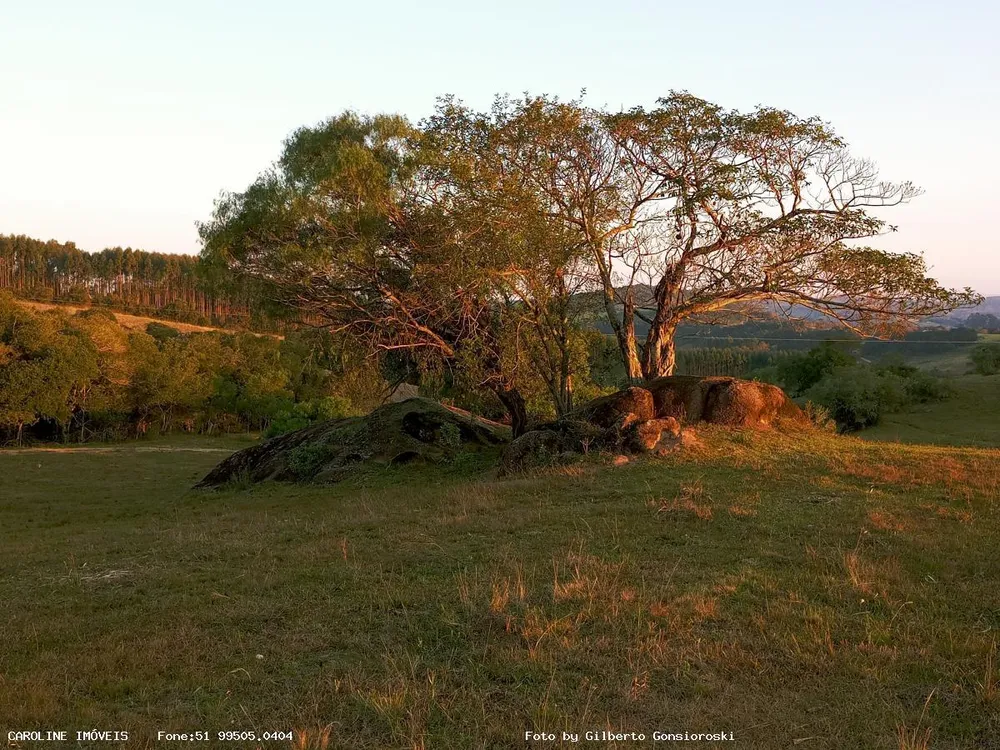 Fazenda, 59 hectares - Foto 1