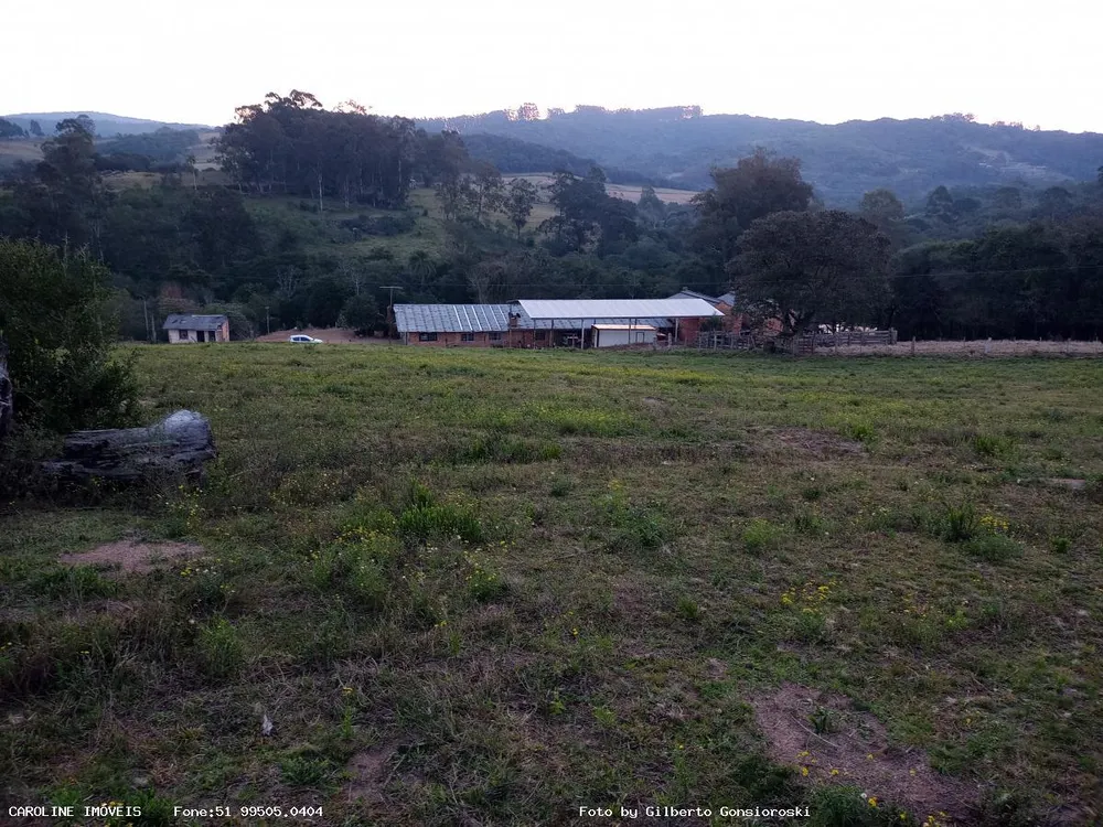 Fazenda, 59 hectares - Foto 4
