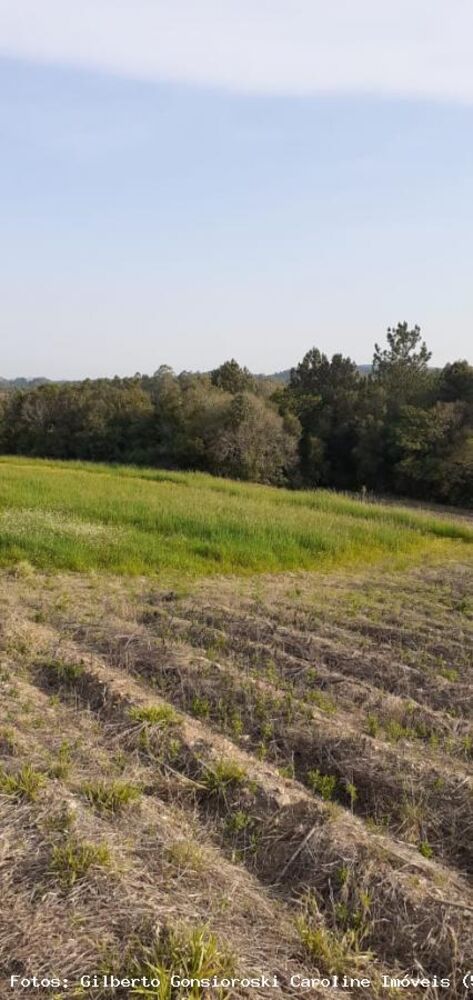 Loteamento e Condomínio, 5 hectares - Foto 3