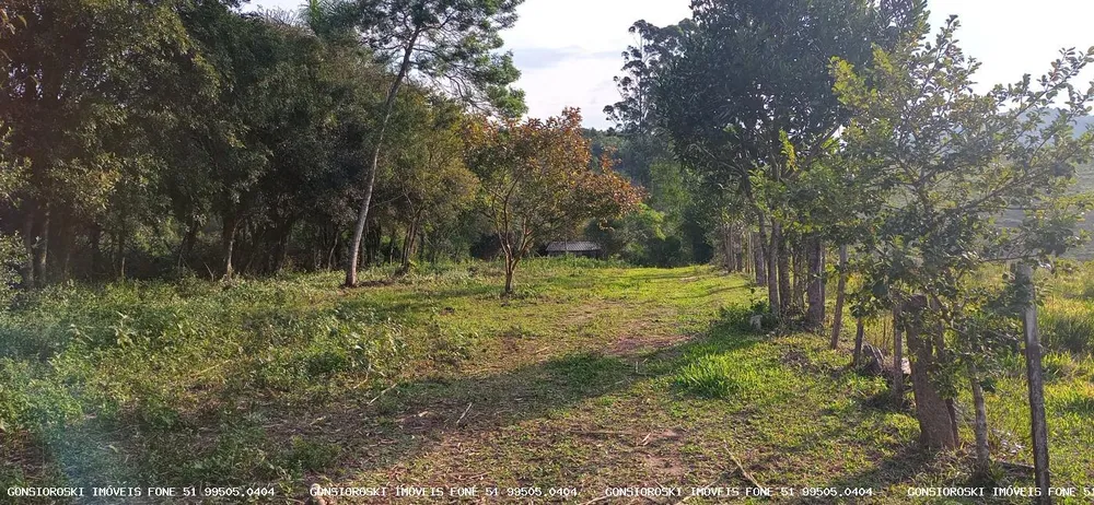Loteamento e Condomínio, 6000 m² - Foto 3
