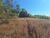 Loteamento e Condomínio, 5 hectares - Foto 9