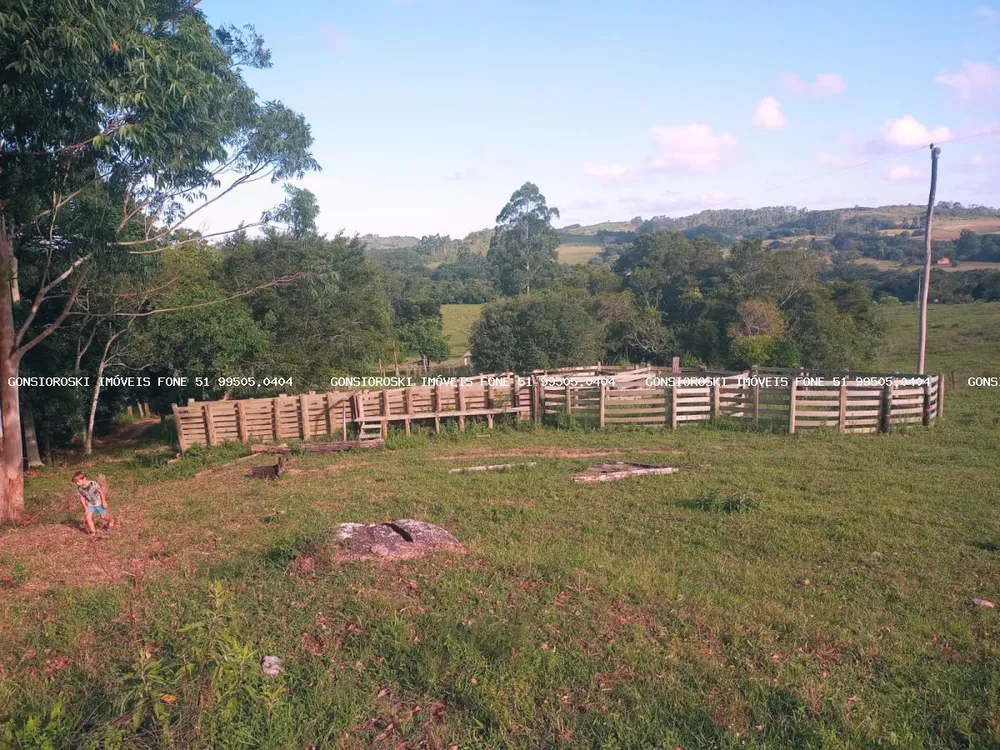 Fazenda, 40 hectares - Foto 1