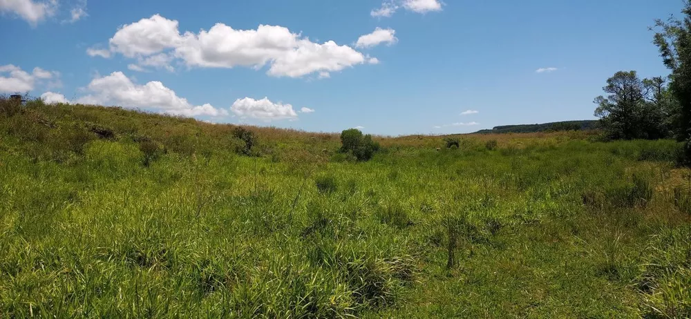 Loteamento e Condomínio à venda, 116000m² - Foto 4