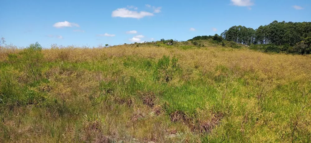 Loteamento e Condomínio à venda, 116000m² - Foto 9