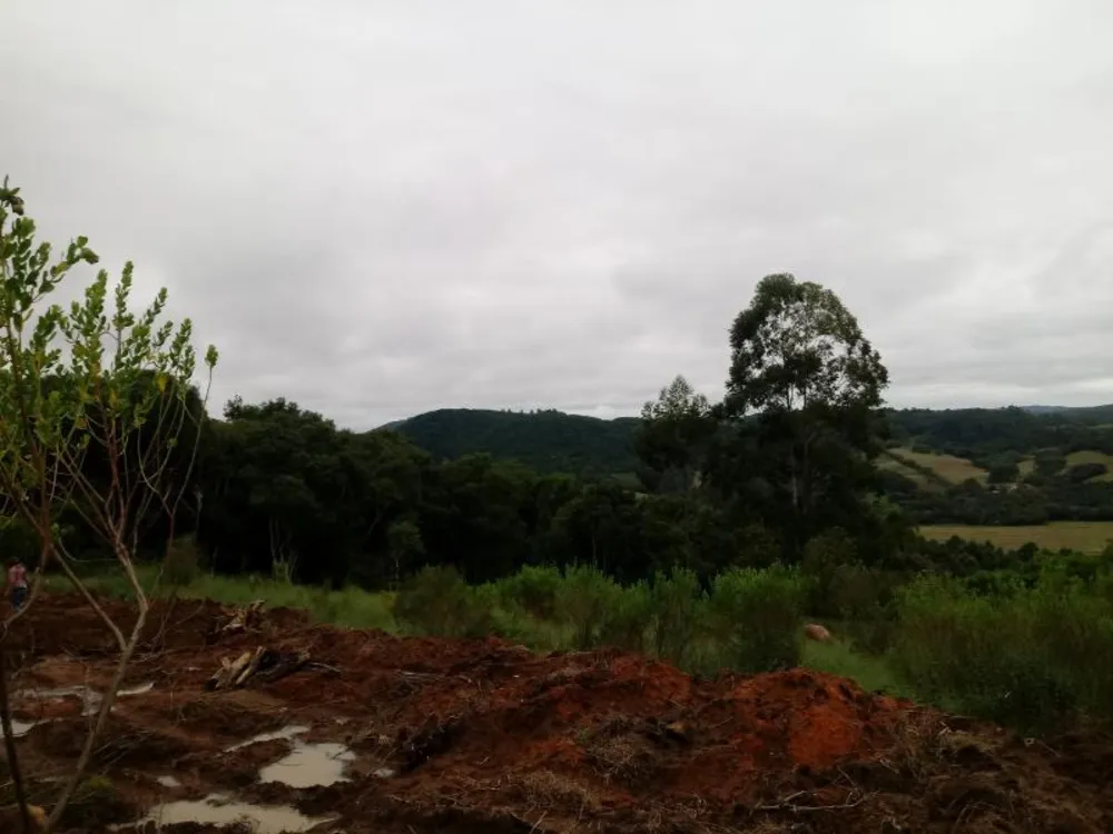 Chácara, 5000 m² - Foto 12