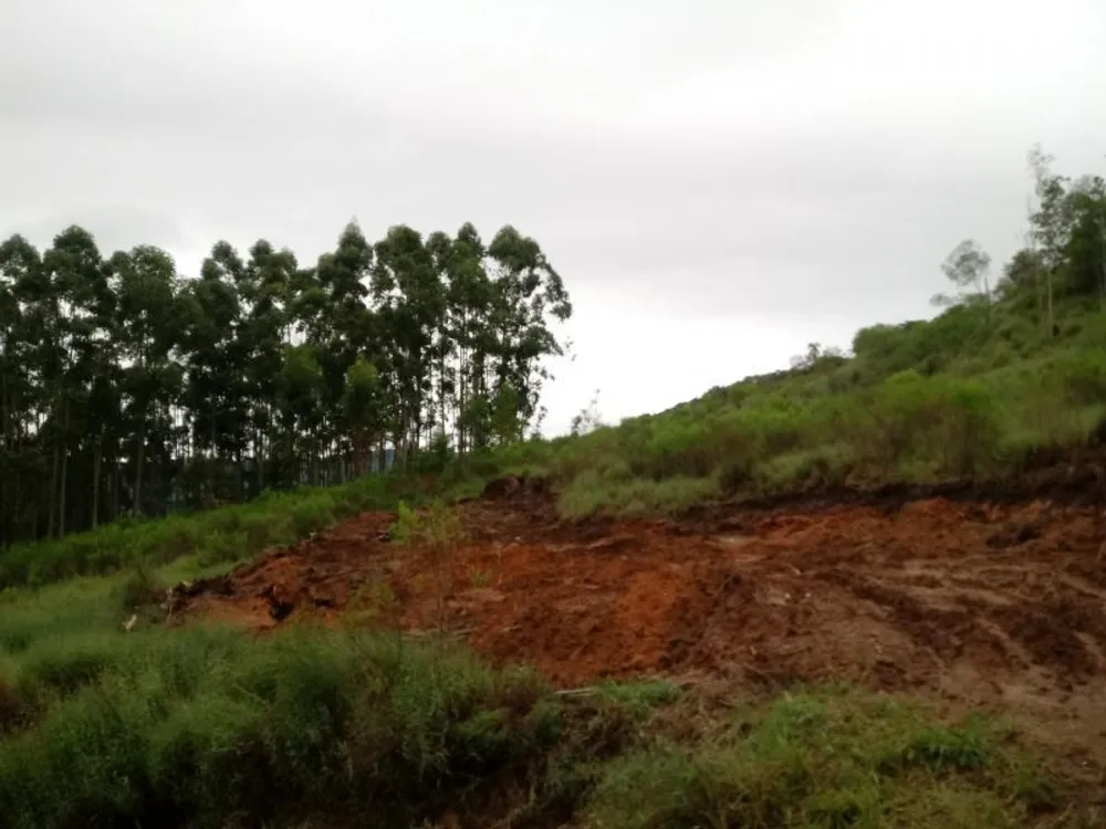Chácara, 5000 m² - Foto 10