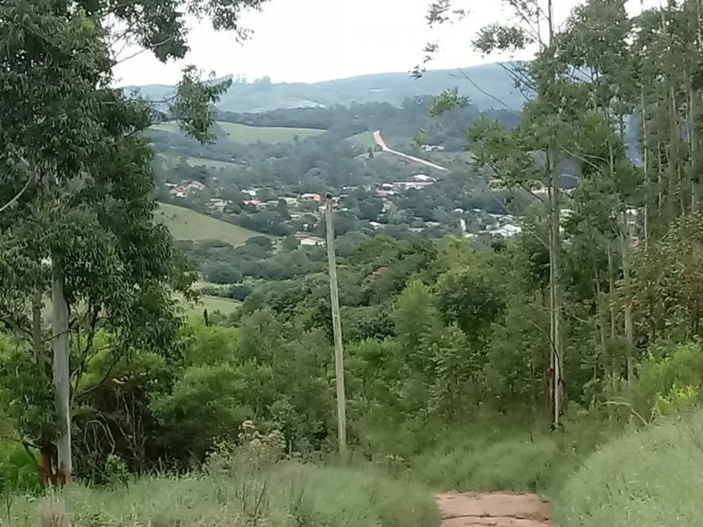 Chácara, 5000 m² - Foto 6