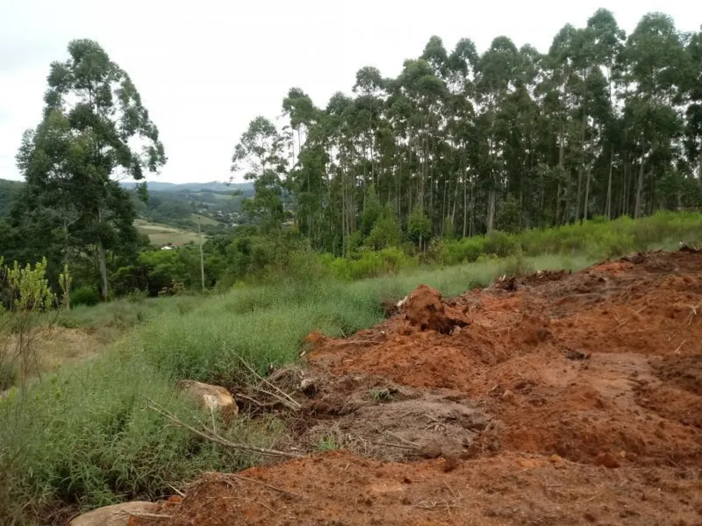 Chácara, 5000 m² - Foto 4