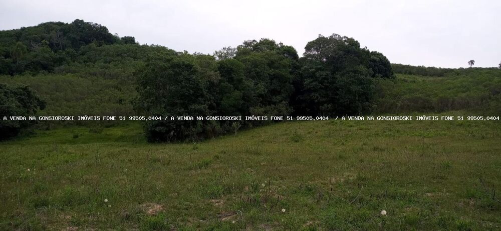 Loteamento e Condomínio, 30 hectares - Foto 3