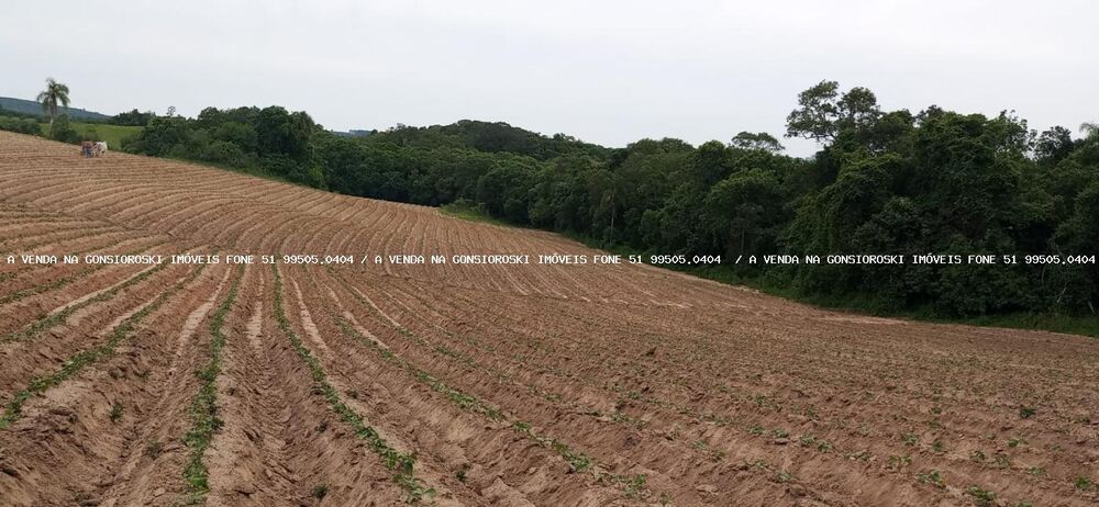 Loteamento e Condomínio, 30 hectares - Foto 1