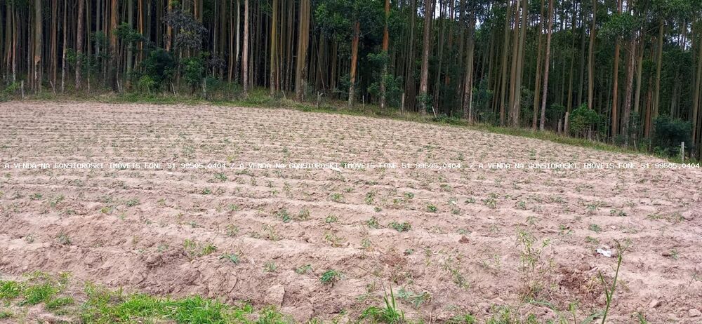 Loteamento e Condomínio, 30 hectares - Foto 2