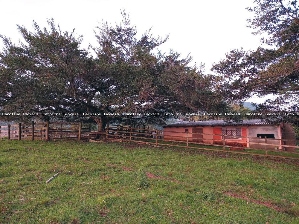 Sítio à venda com 3 quartos, 23m² - Foto 3