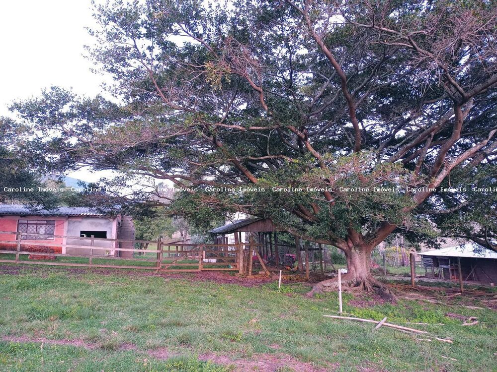 Sítio à venda com 3 quartos, 23m² - Foto 4