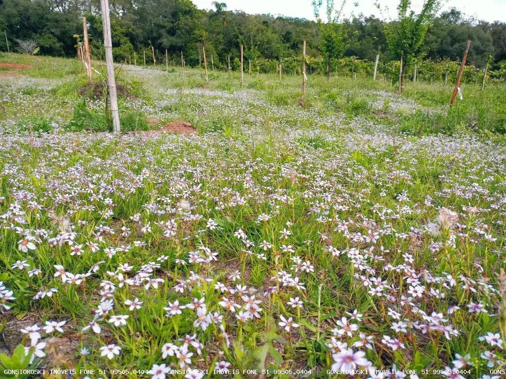 Loteamento e Condomínio, 2 hectares - Foto 4