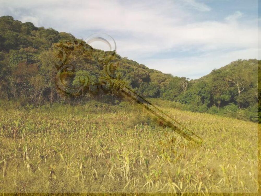 Loteamento e Condomínio à venda, 130000m² - Foto 4