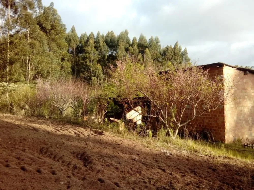 Sítio, 1 quarto, 3 hectares - Foto 2