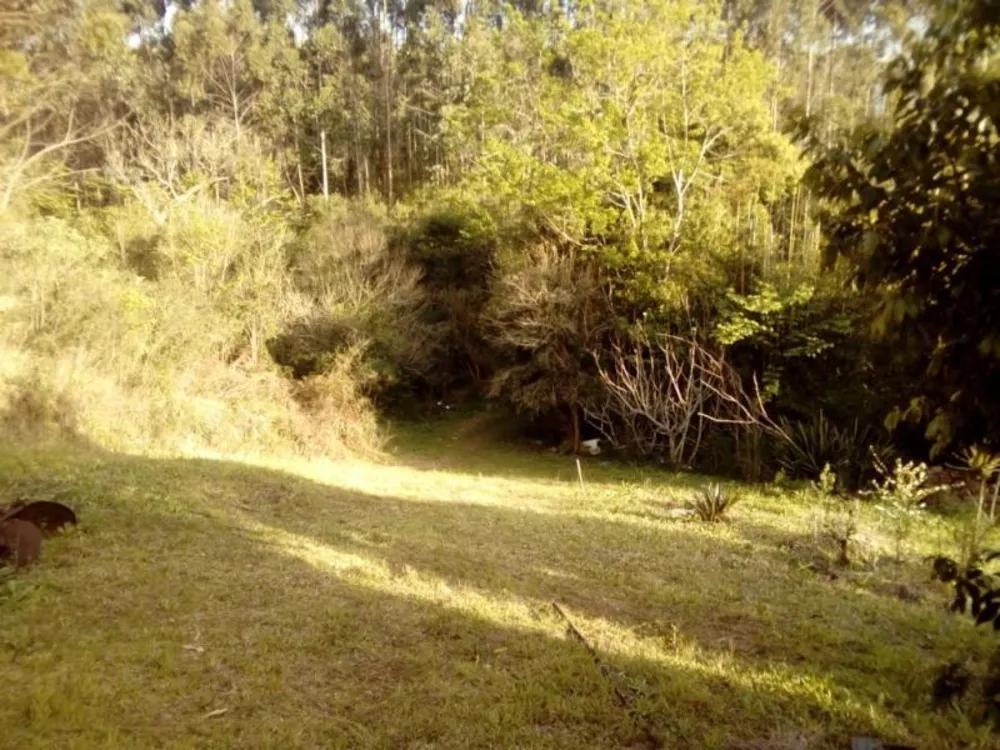 Sítio, 1 quarto, 3 hectares - Foto 7