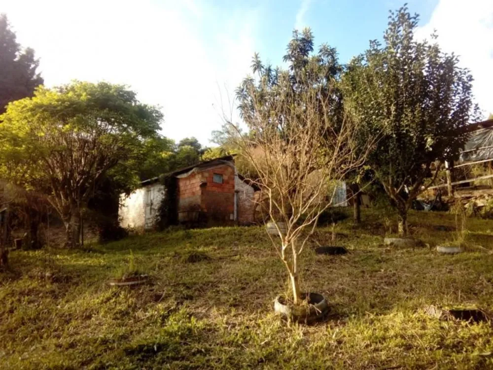 Sítio, 1 quarto, 3 hectares - Foto 4
